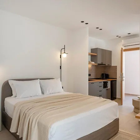 شقة فندقية Anemelia Way Of Living ناوسا